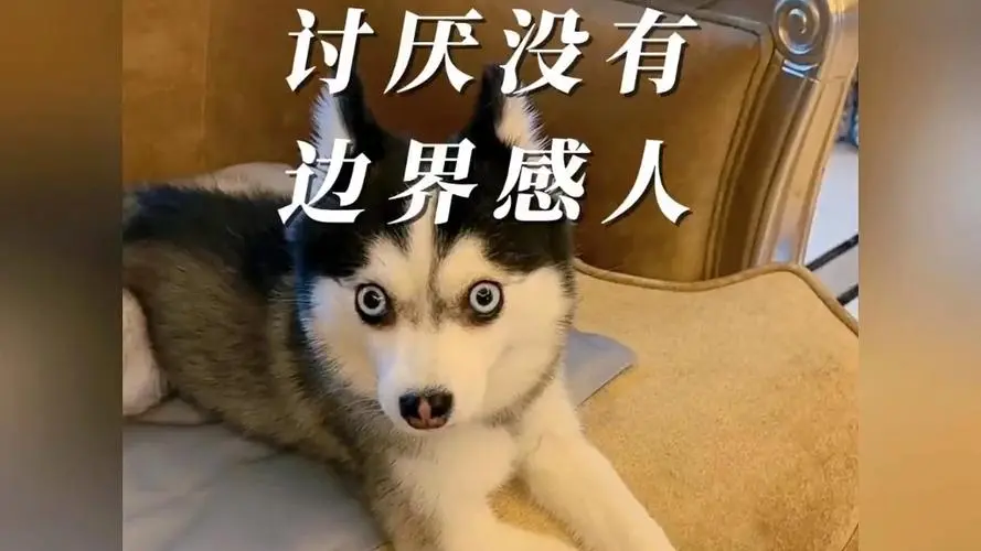 没有边界感是什么意思