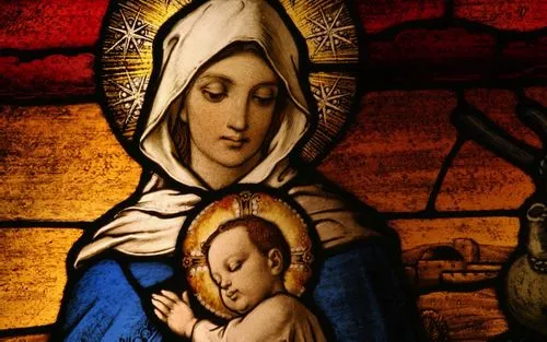 社交圣母病是什么梗